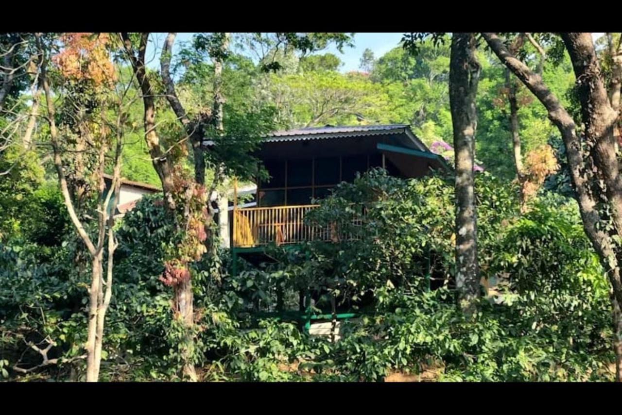 Hill Valley Farm House Nelliyampathy Ngoại thất bức ảnh