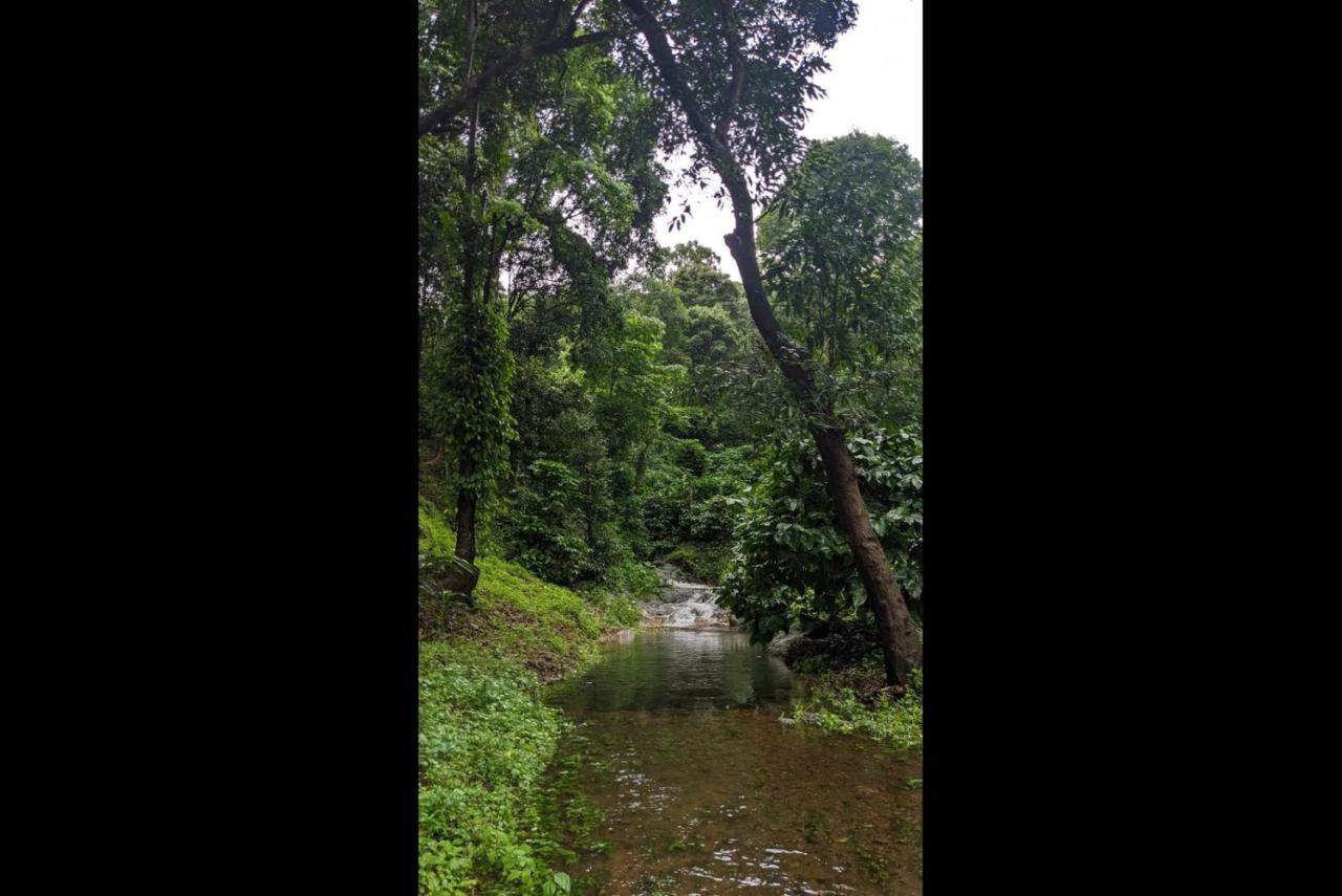 Hill Valley Farm House Nelliyampathy Ngoại thất bức ảnh