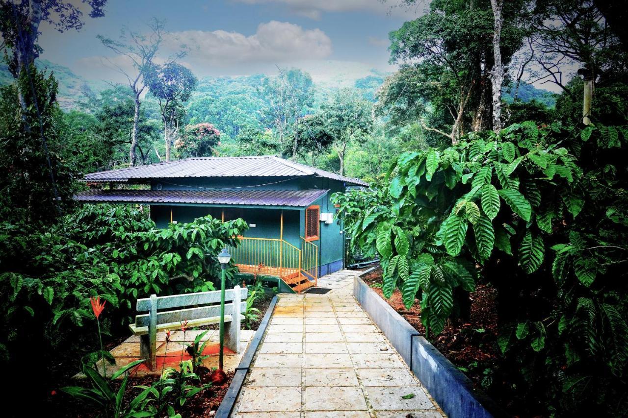 Hill Valley Farm House Nelliyampathy Ngoại thất bức ảnh