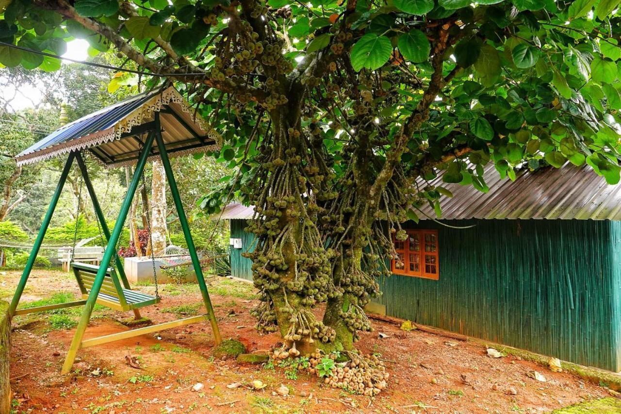 Hill Valley Farm House Nelliyampathy Ngoại thất bức ảnh
