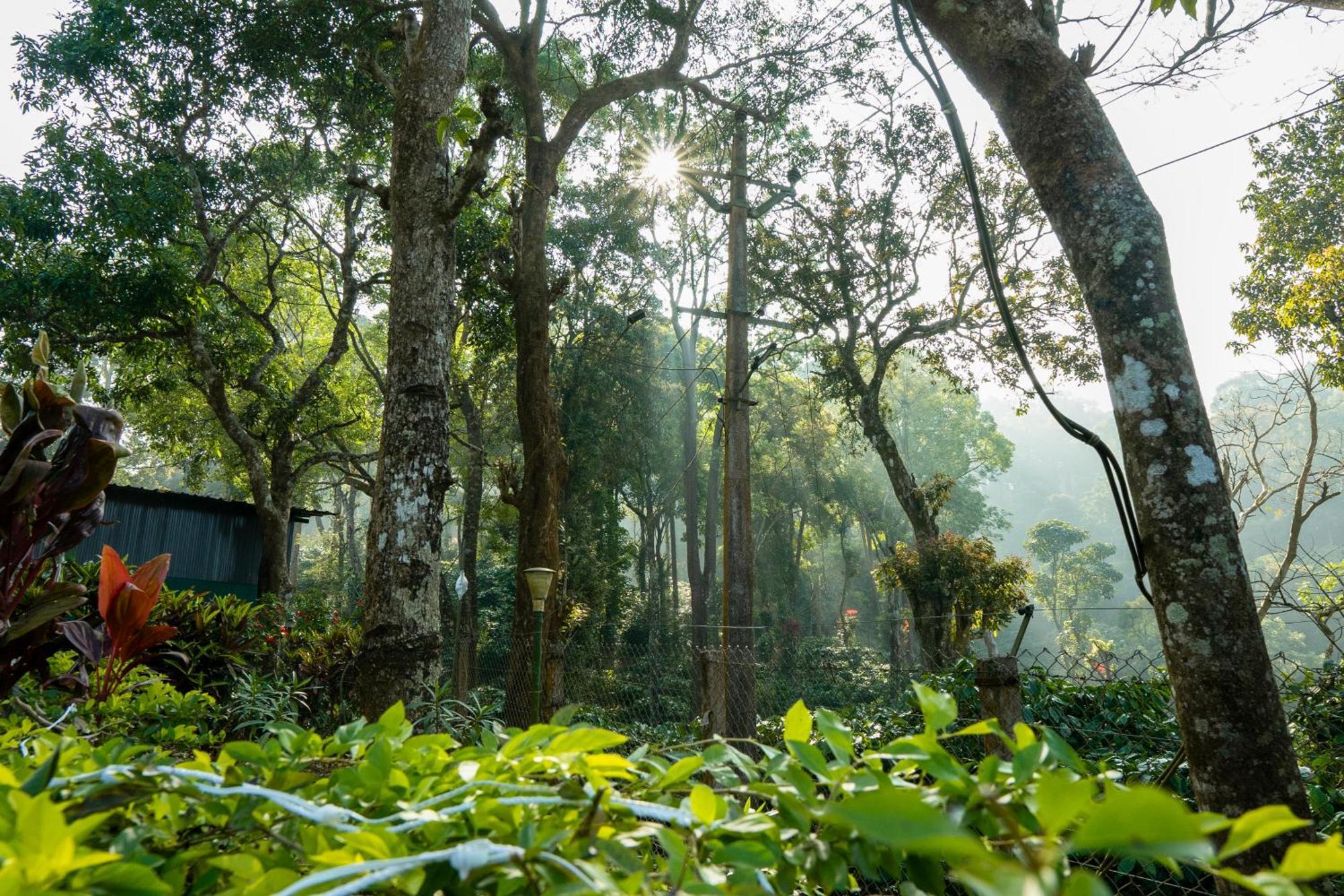 Hill Valley Farm House Nelliyampathy Ngoại thất bức ảnh