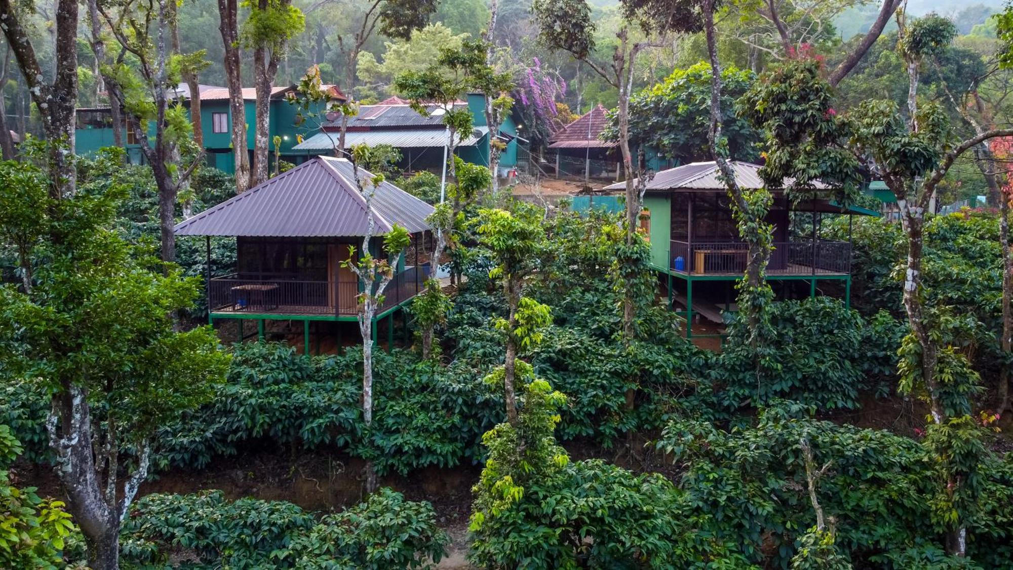 Hill Valley Farm House Nelliyampathy Ngoại thất bức ảnh